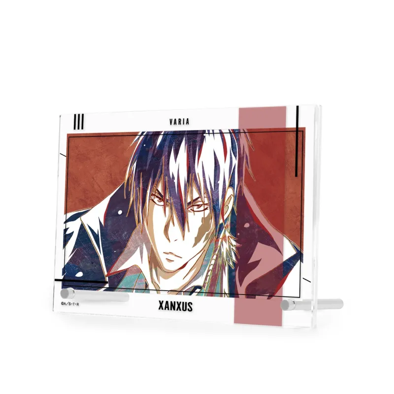 XANXUS（10年後） Ani-Art 第4弾 ダブルアクリルパネル