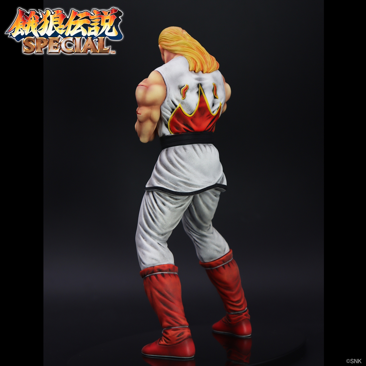 「THE KING OF COLLECTORS'24」アンディ・ボガード(HGダメージVer.) 3
