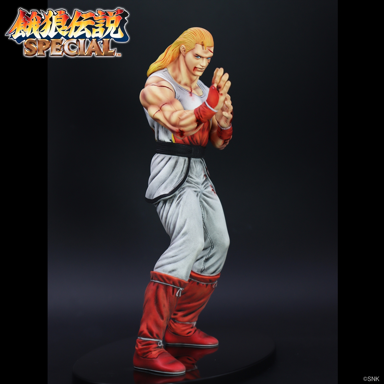 「THE KING OF COLLECTORS'24」アンディ・ボガード(HGダメージVer.) 4