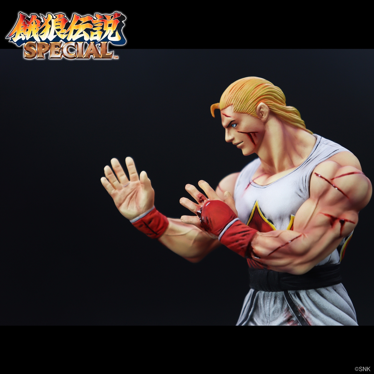 「THE KING OF COLLECTORS'24」アンディ・ボガード(HGダメージVer.) 5