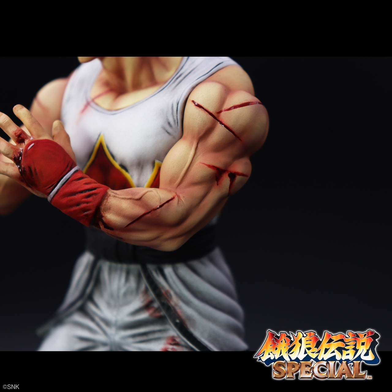 「THE KING OF COLLECTORS'24」アンディ・ボガード(HGダメージVer.) 6