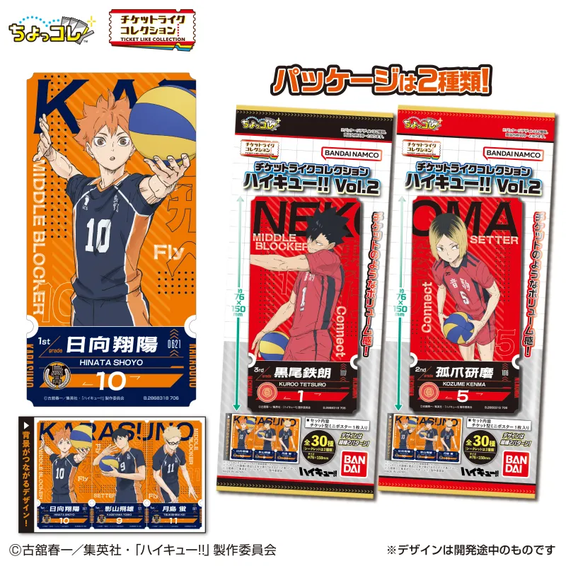 チケットライクコレクション ハイキュー!! Vol.2