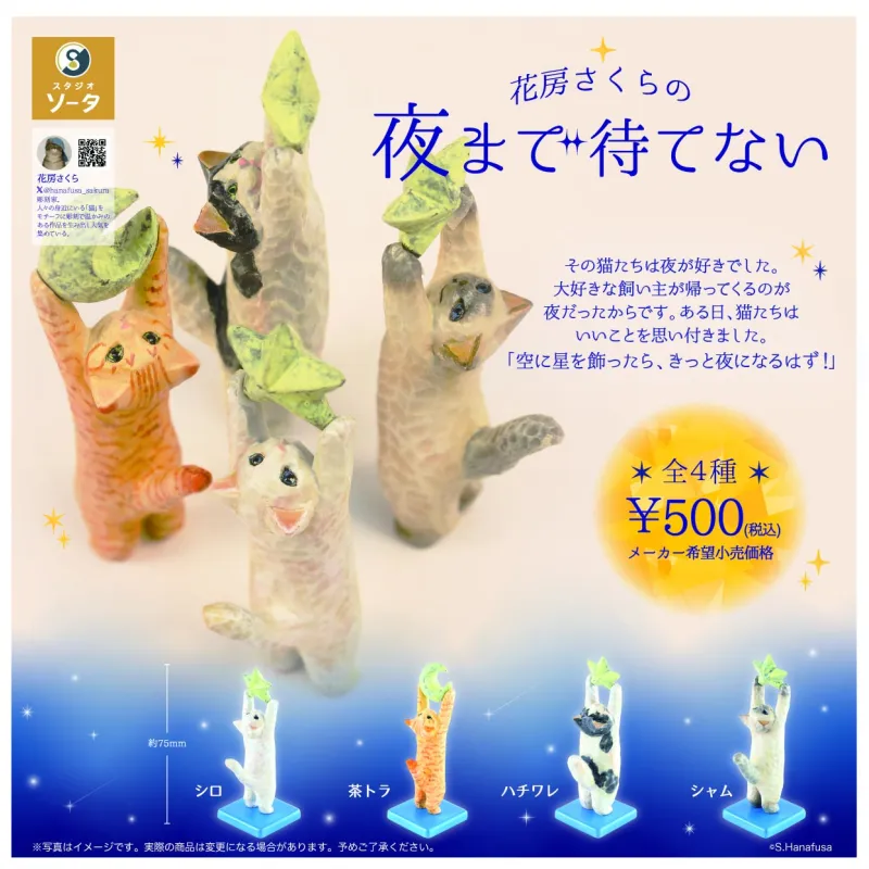 花房さくらの夜まで待てない