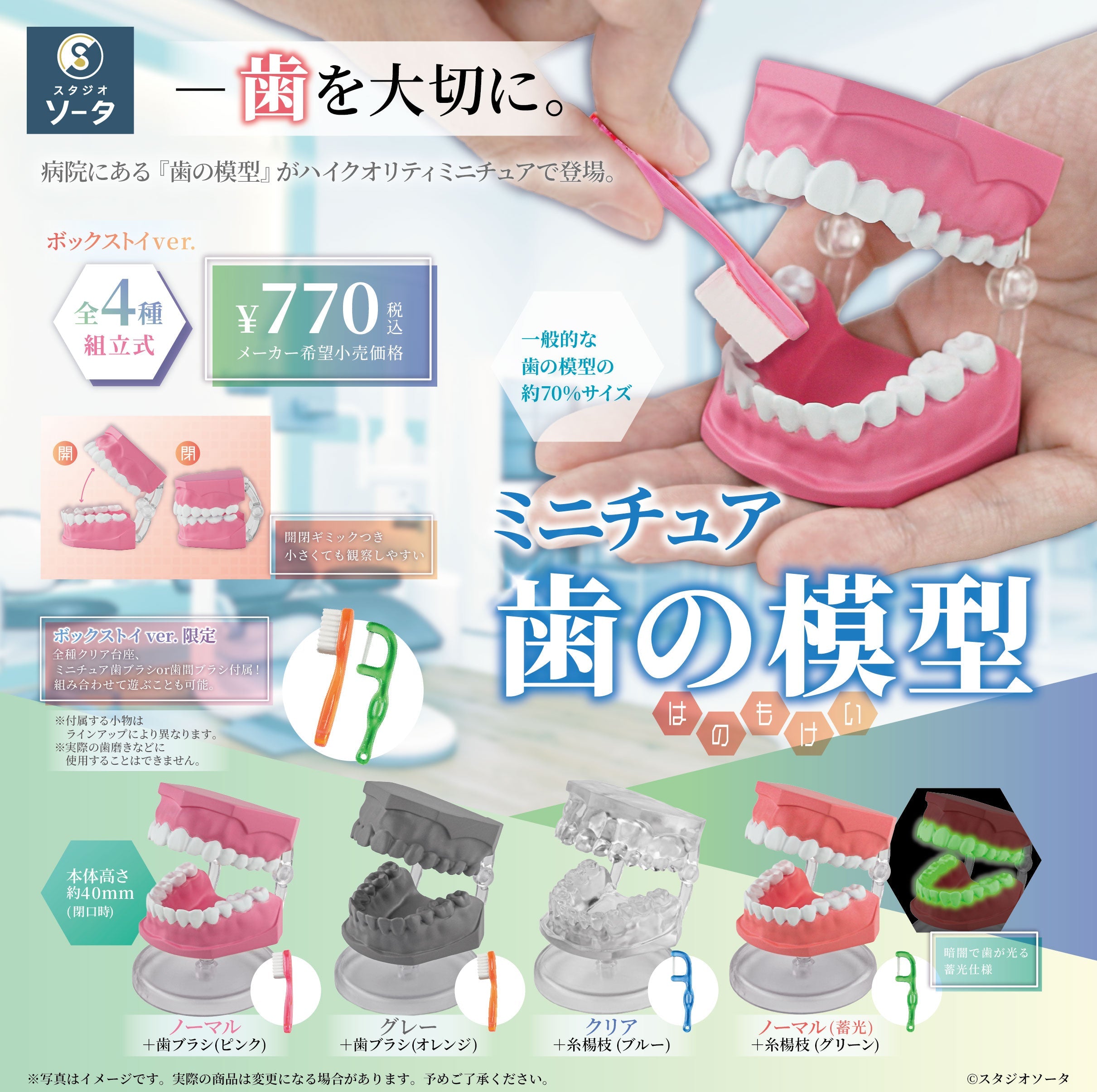 ミニチュア歯の模型 4