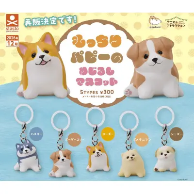再販もっちりパピーのめじるしマスコット※减数可能