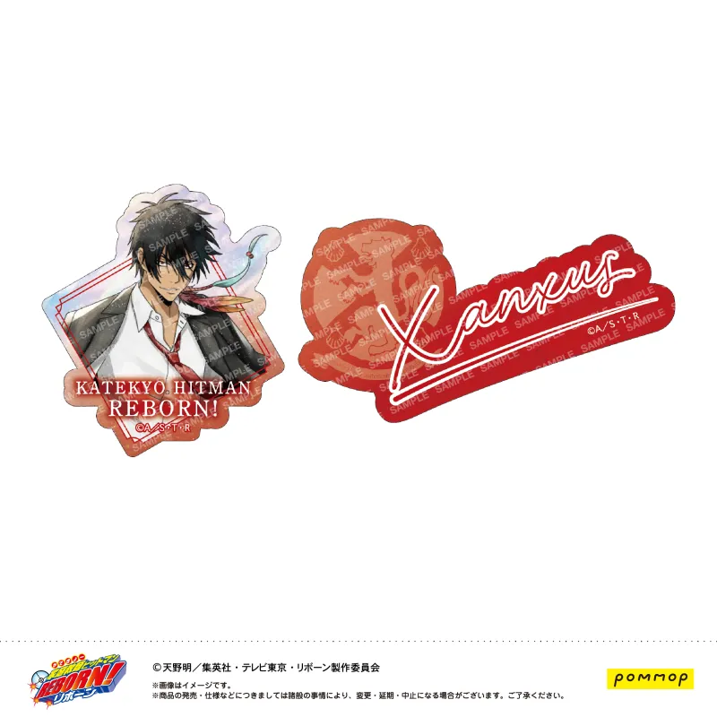 家庭教師ヒットマンREBORN! ダイカットシールセット -風- (E XANXUS(10年後))