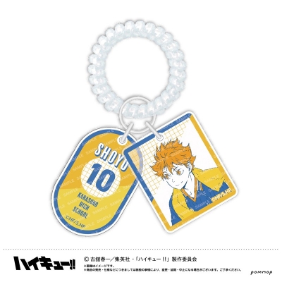 ハイキュー!! ロッカーキー風キーホルダー-オフショットカラー第２弾-(A日向翔陽) 2