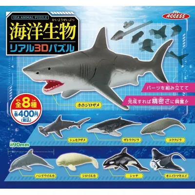 海洋生物リアル3Dパズル