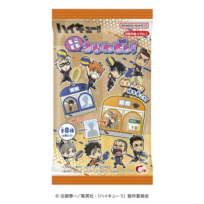 どこでもついんどぅ！ ハイキュー!!